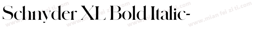 Schnyder XL Bold Italic字体转换